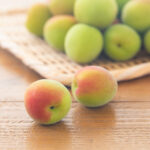 梅製品イメージ